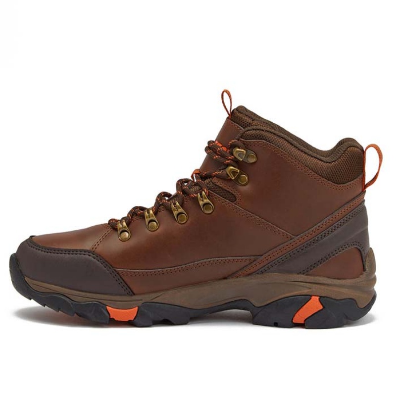 Botas Montaña Hi-Tec Acadia Mid WP Hombre Marrom | MX68-75