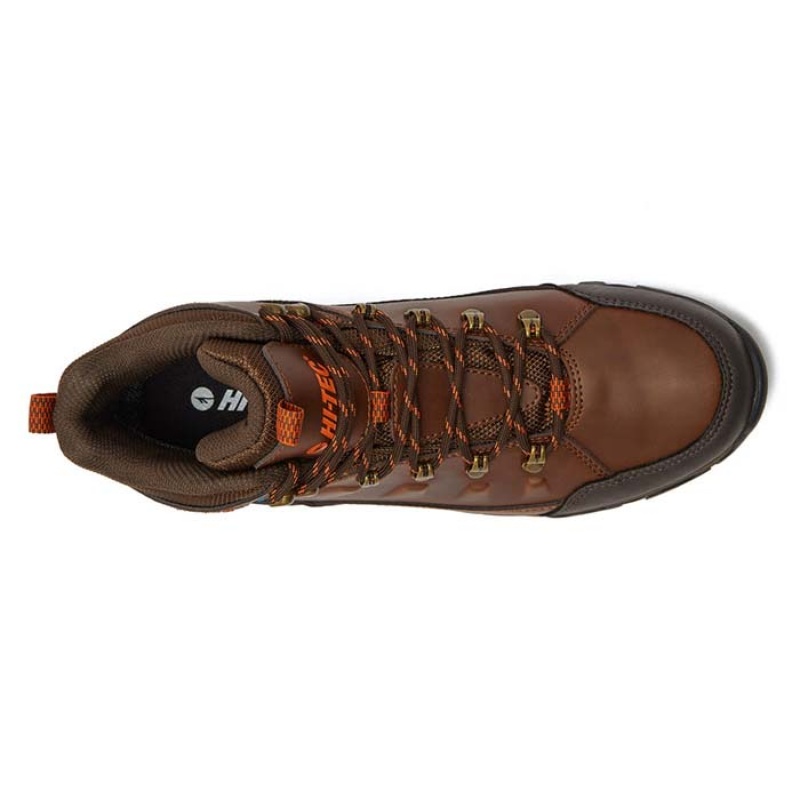 Botas Montaña Hi-Tec Acadia Mid WP Hombre Marrom | MX68-75