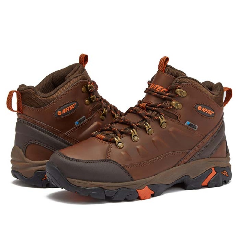 Botas Montaña Hi-Tec Acadia Mid WP Hombre Marrom | MX68-75