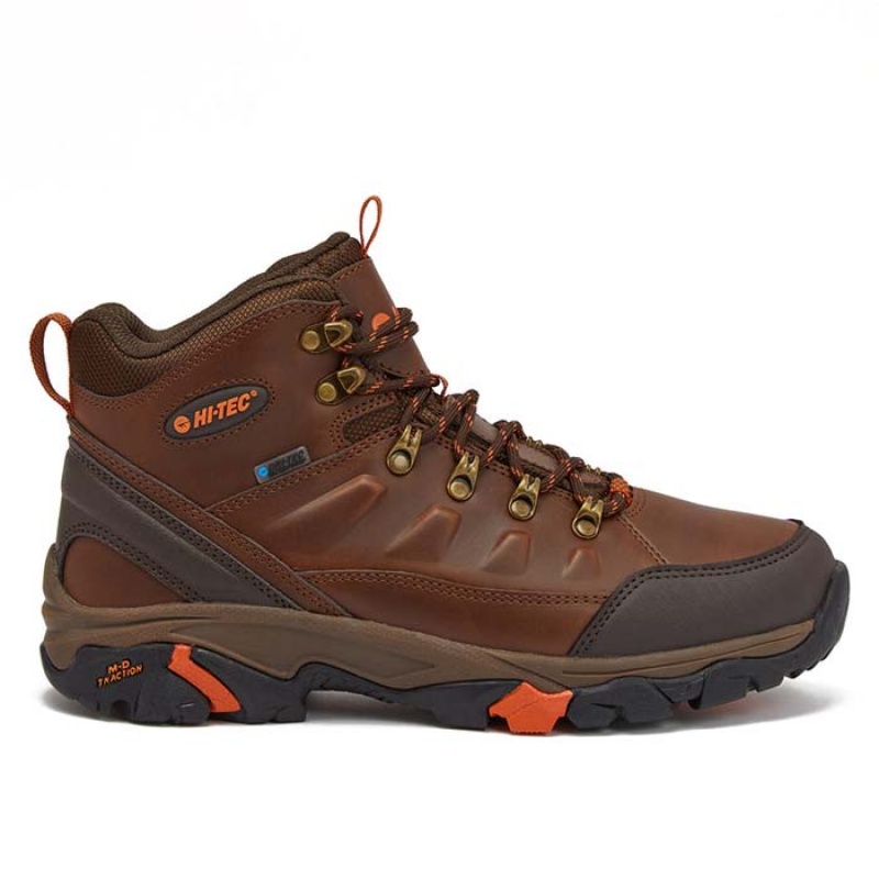 Botas Montaña Hi-Tec Acadia Mid WP Hombre Marrom | MX68-75