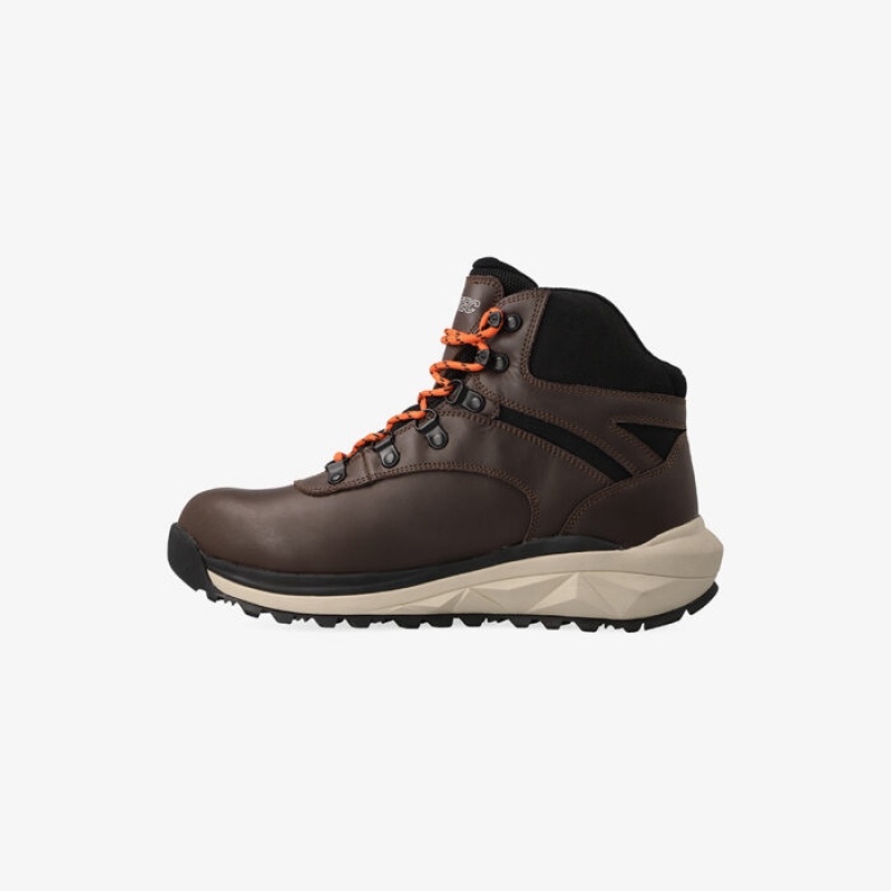 Botas Montaña Hi-Tec Altitude-Alpine WP Hombre Marrom | MX07-41