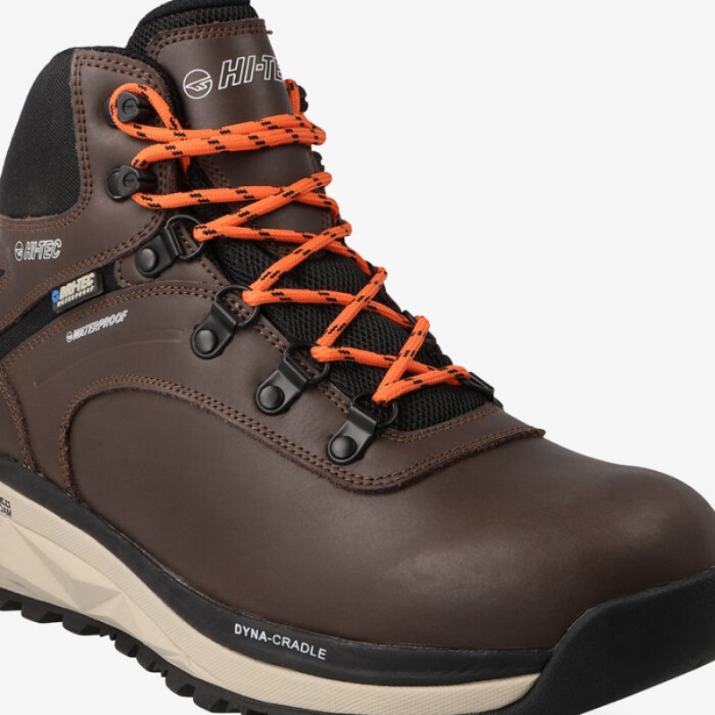 Botas Montaña Hi-Tec Altitude-Alpine WP Hombre Marrom | MX07-41