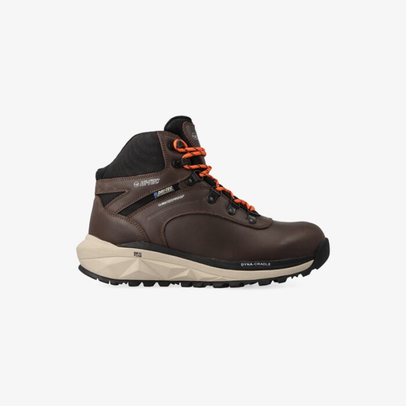 Botas Montaña Hi-Tec Altitude-Alpine WP Hombre Marrom | MX07-41