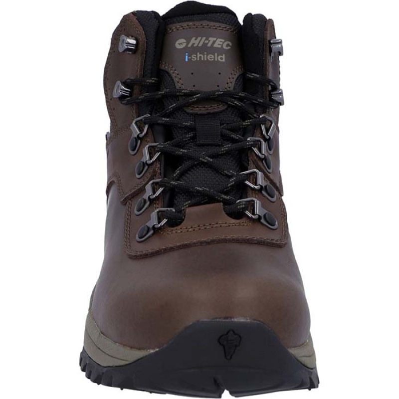 Botas Montaña Hi-Tec Altitude VI Hombre Marrom | MX01-71