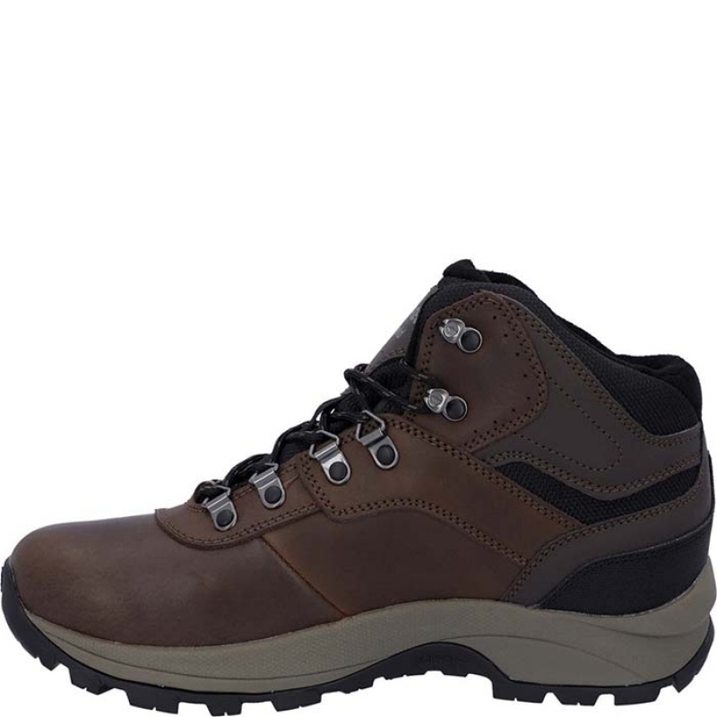 Botas Montaña Hi-Tec Altitude VI Hombre Marrom | MX01-71