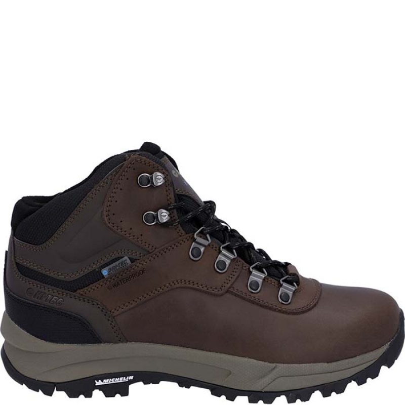 Botas Montaña Hi-Tec Altitude VI Hombre Marrom | MX01-71