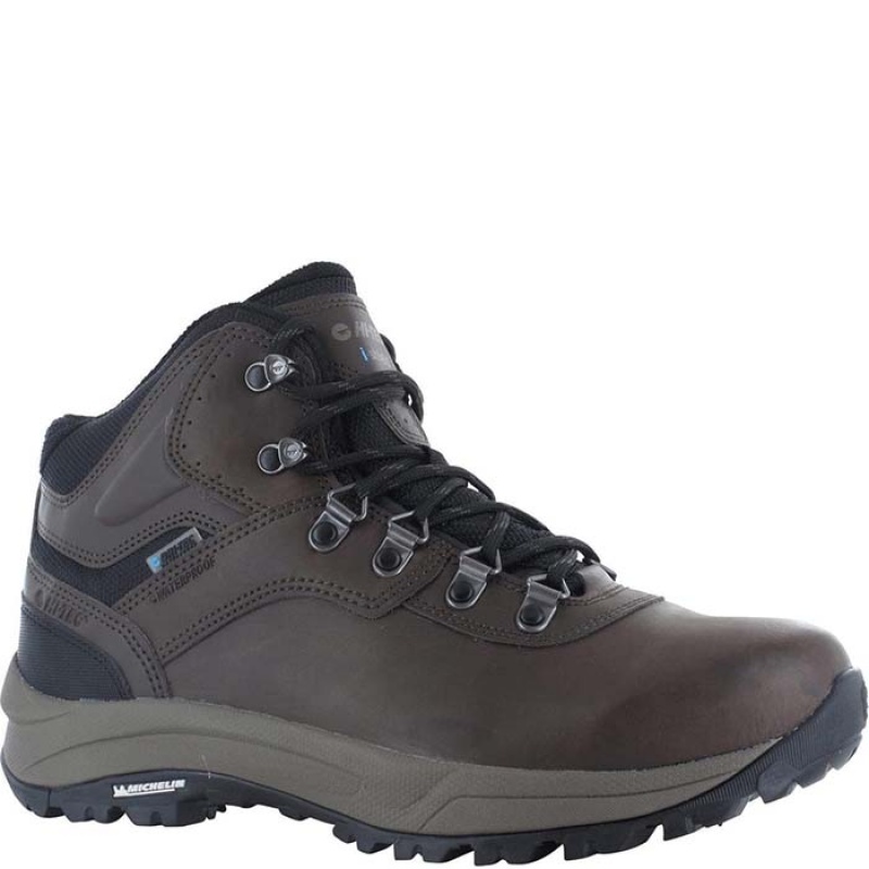 Botas Montaña Hi-Tec Altitude VI Hombre Marrom | MX01-71