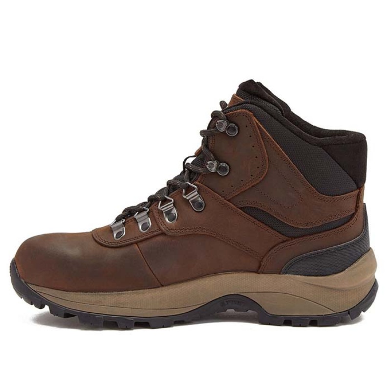 Botas Montaña Hi-Tec Altitude VI I WP Hombre Marrom | MX54-16