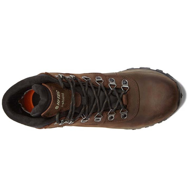 Botas Montaña Hi-Tec Altitude VI I WP Hombre Marrom | MX54-16