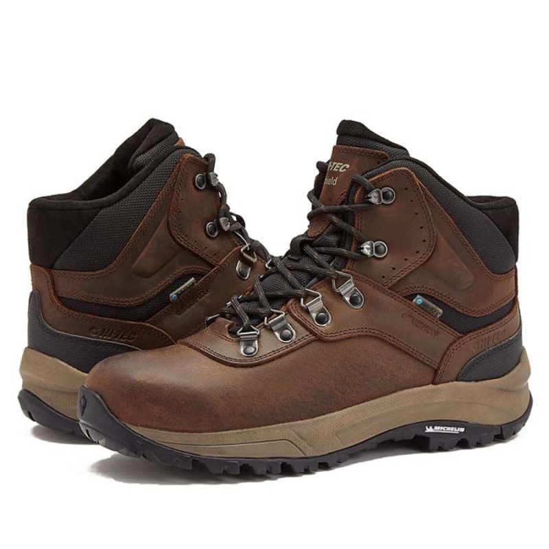 Botas Montaña Hi-Tec Altitude VI I WP Hombre Marrom | MX54-16