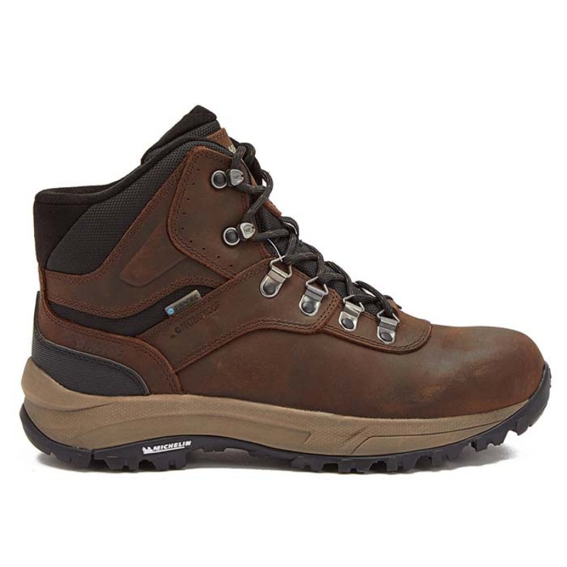 Botas Montaña Hi-Tec Altitude VI I WP Hombre Marrom | MX54-16