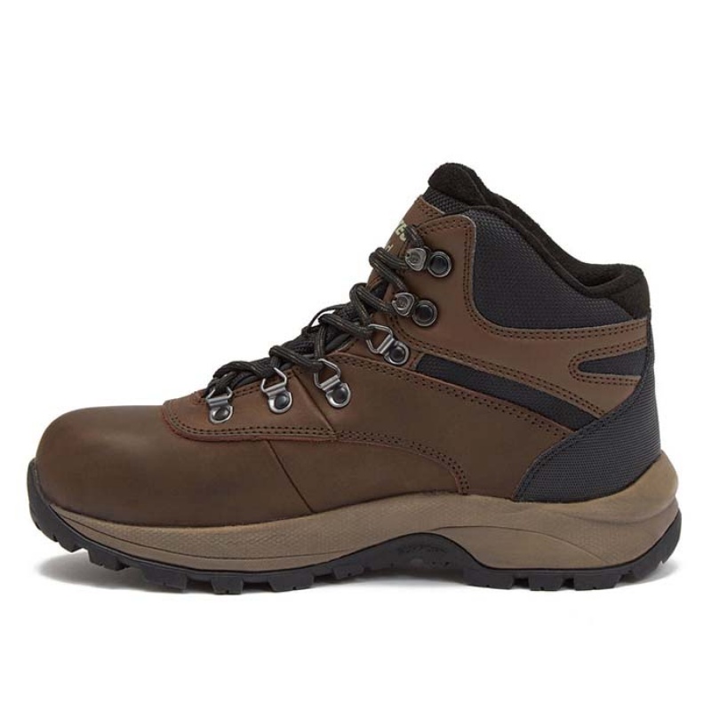 Botas Montaña Hi-Tec Altitude VI I WP Mujer Marrom | MX96-15