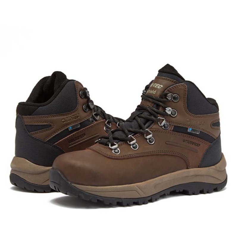 Botas Montaña Hi-Tec Altitude VI I WP Mujer Marrom | MX96-15