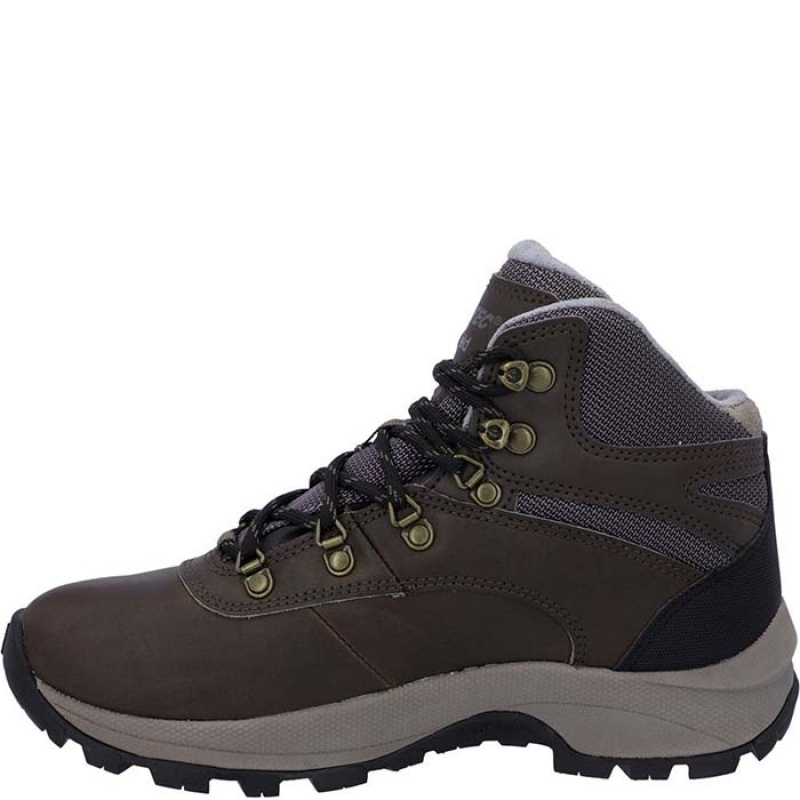 Botas Montaña Hi-Tec Altitude VI Mujer Marrom | MX74-90