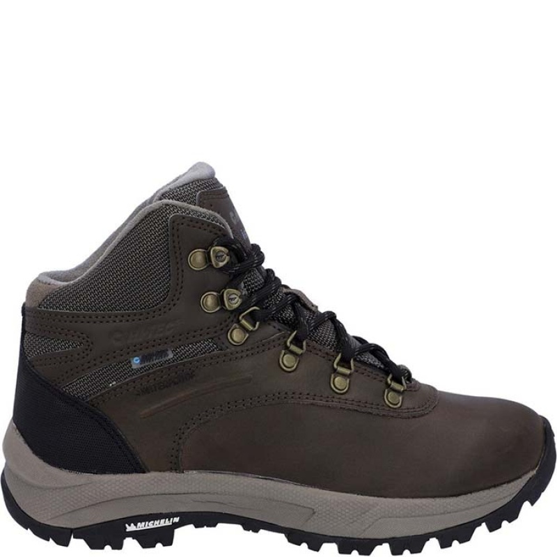 Botas Montaña Hi-Tec Altitude VI Mujer Marrom | MX74-90