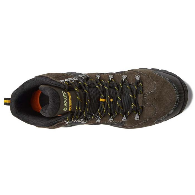 Botas Montaña Hi-Tec Black Rock Mid WP Hombre Grises | MX39-98