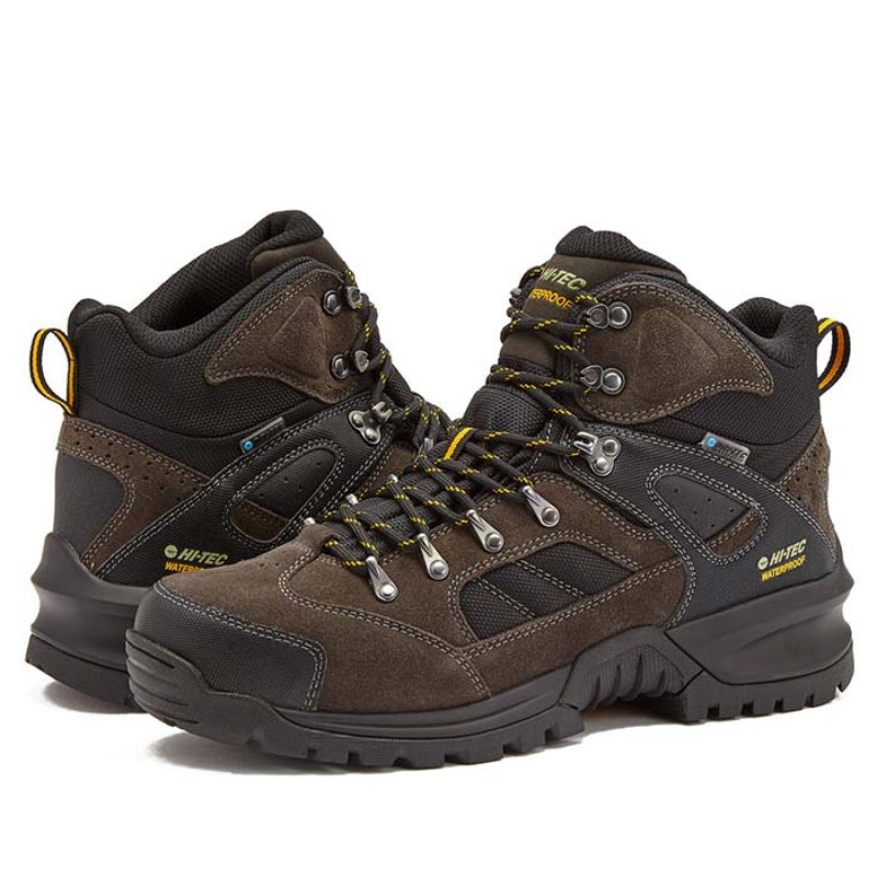 Botas Montaña Hi-Tec Black Rock Mid WP Hombre Grises | MX39-98