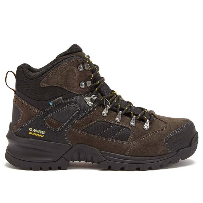 Botas Montaña Hi-Tec Black Rock Mid WP Hombre Grises | MX39-98