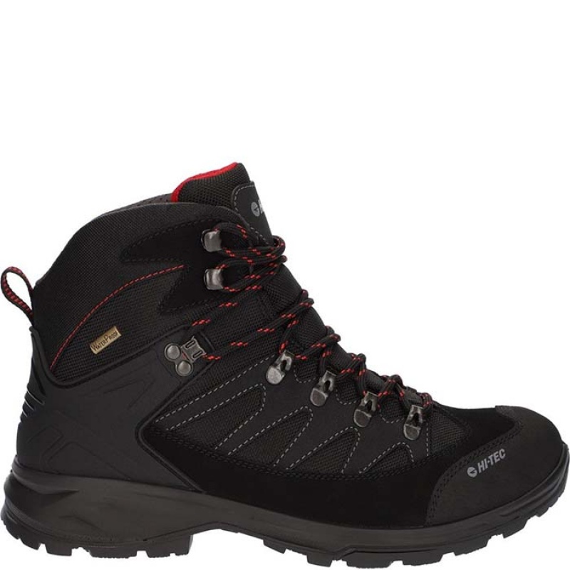 Botas Montaña Hi-Tec Clamber Hombre Grises | MX19-60