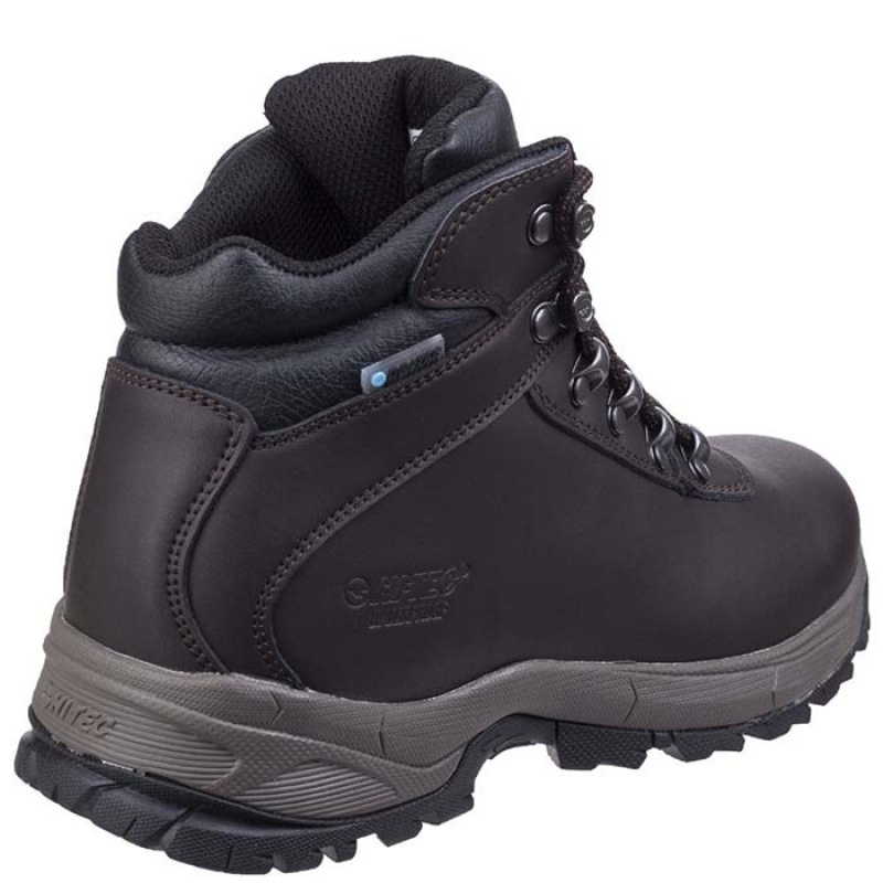 Botas Montaña Hi-Tec Eurotrek Lite WP Hombre Marrom Oscuro | MX14-24