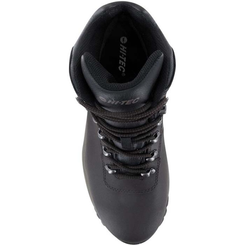 Botas Montaña Hi-Tec Eurotrek Lite WP Hombre Marrom Oscuro | MX14-24