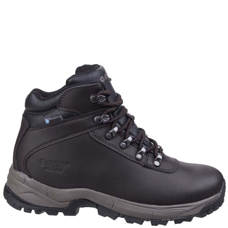 Botas Montaña Hi-Tec Eurotrek Lite WP Hombre Marrom Oscuro | MX14-24