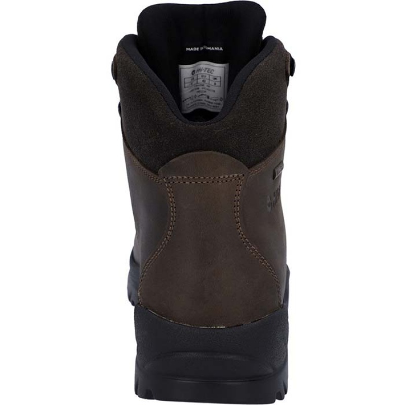 Botas Montaña Hi-Tec Ravine Hombre Marrom | MX79-93