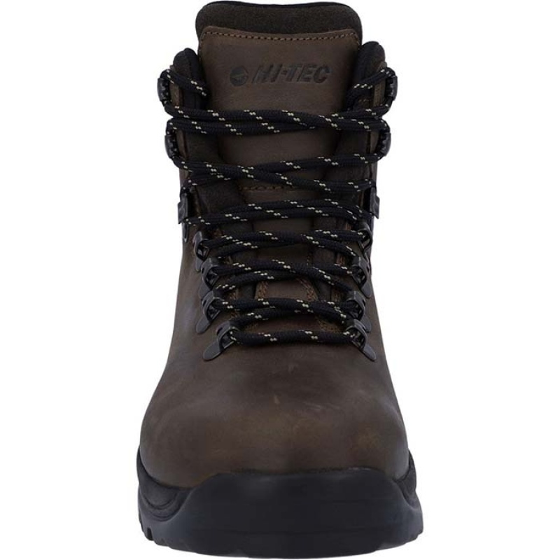 Botas Montaña Hi-Tec Ravine Hombre Marrom | MX79-93