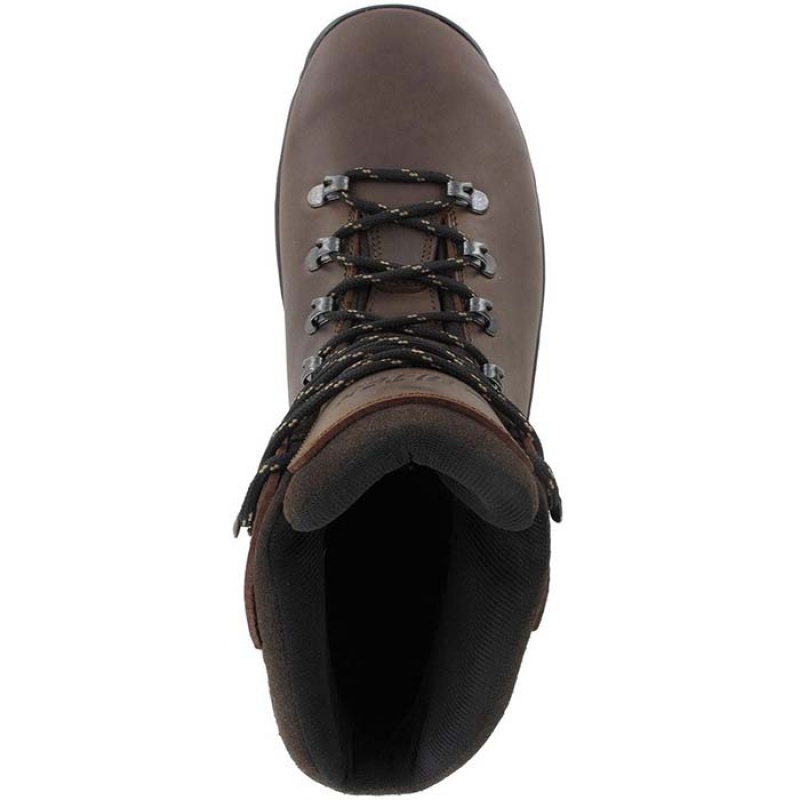 Botas Montaña Hi-Tec Ravine Hombre Marrom | MX79-93