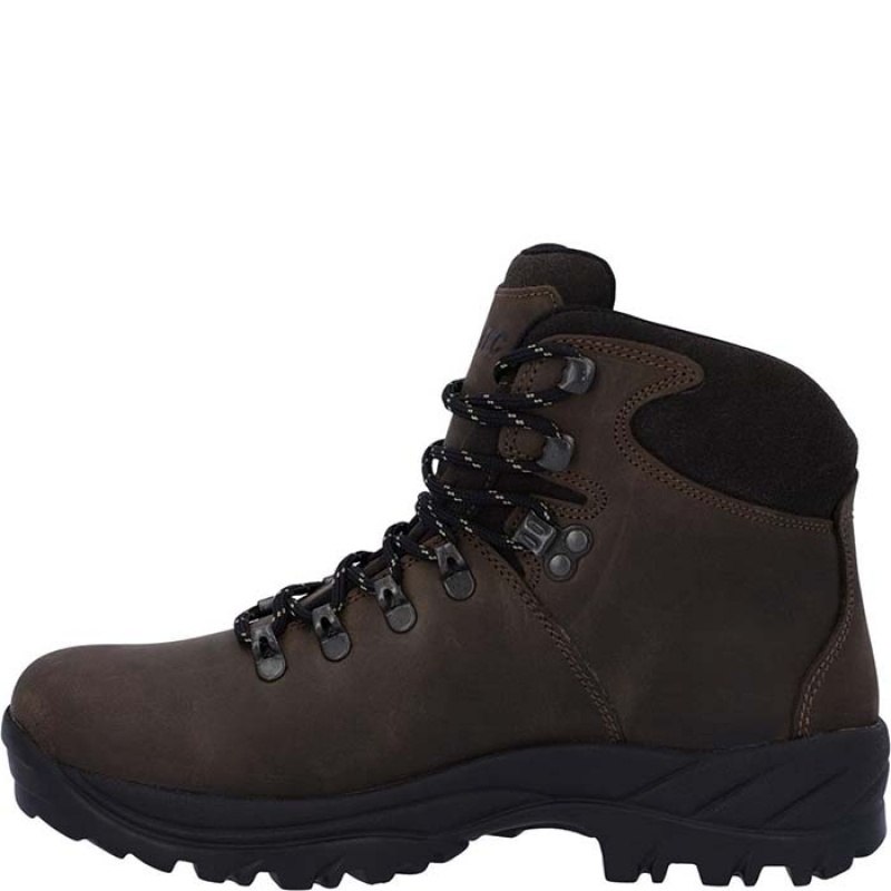 Botas Montaña Hi-Tec Ravine Hombre Marrom | MX79-93