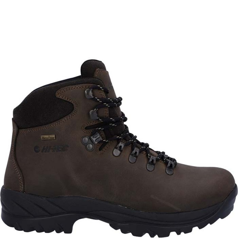 Botas Montaña Hi-Tec Ravine Hombre Marrom | MX79-93