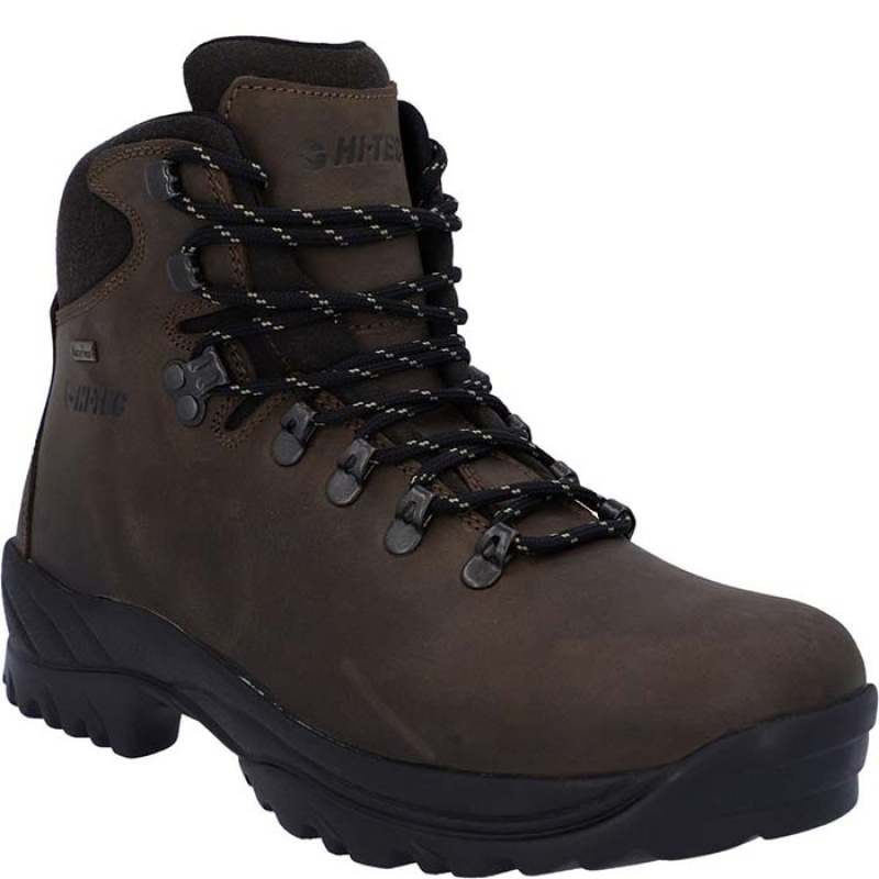 Botas Montaña Hi-Tec Ravine Hombre Marrom | MX79-93