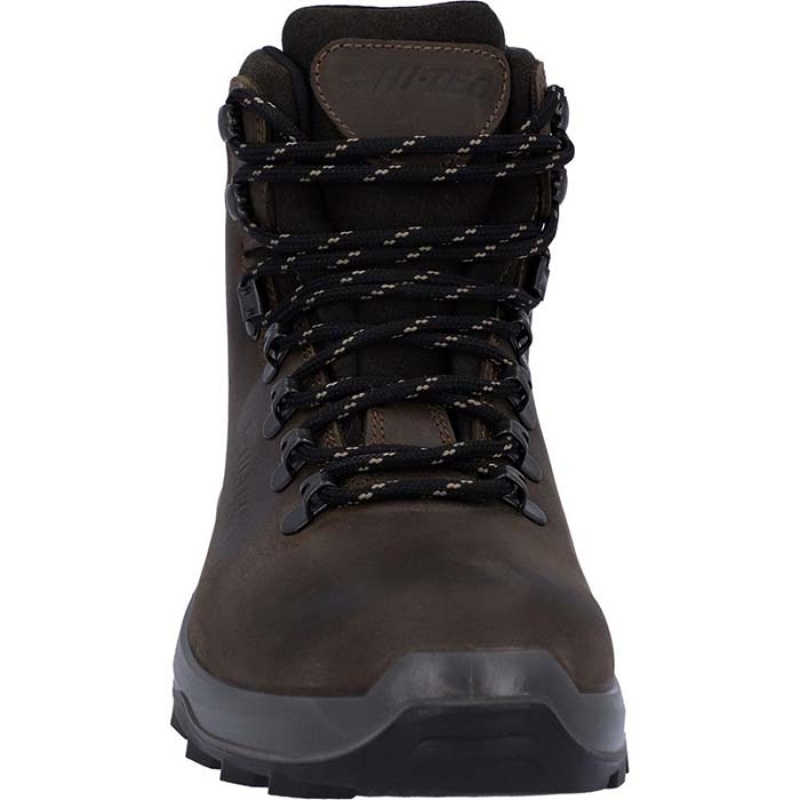 Botas Montaña Hi-Tec Ravine Lite Hombre Marrom | MX82-10