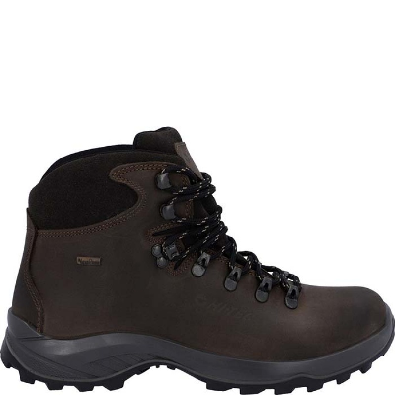 Botas Montaña Hi-Tec Ravine Lite Hombre Marrom | MX82-10