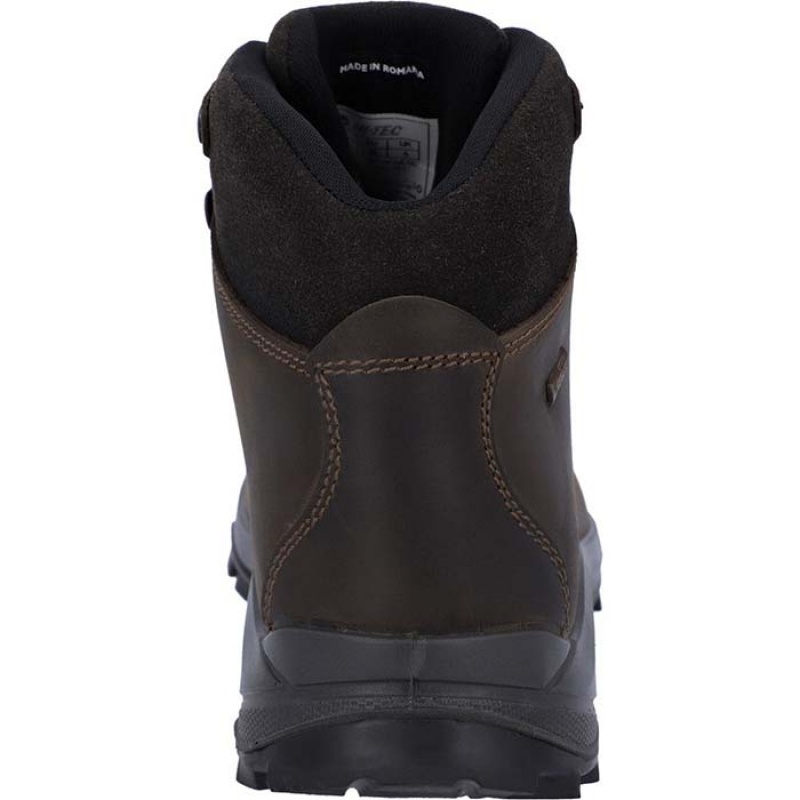 Botas Montaña Hi-Tec Ravine Lite Mujer Marrom | MX01-67