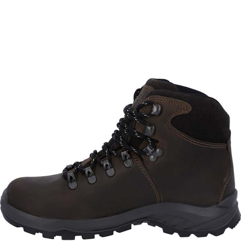 Botas Montaña Hi-Tec Ravine Lite Mujer Marrom | MX01-67