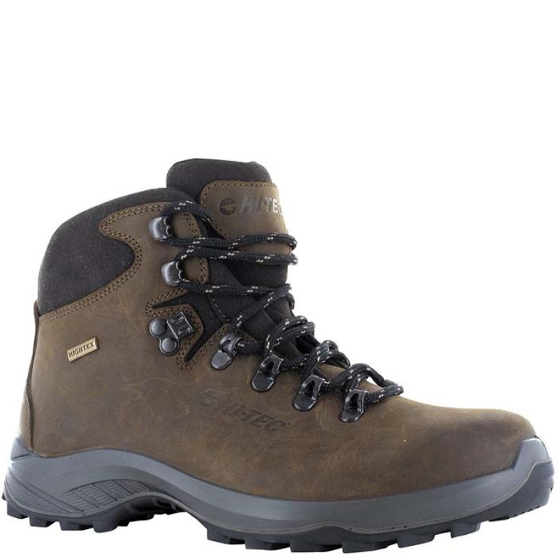 Botas Montaña Hi-Tec Ravine Lite Mujer Marrom | MX01-67