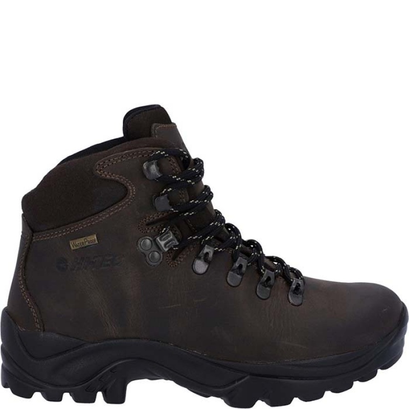 Botas Montaña Hi-Tec Ravine Mujer Marrom | MX30-72