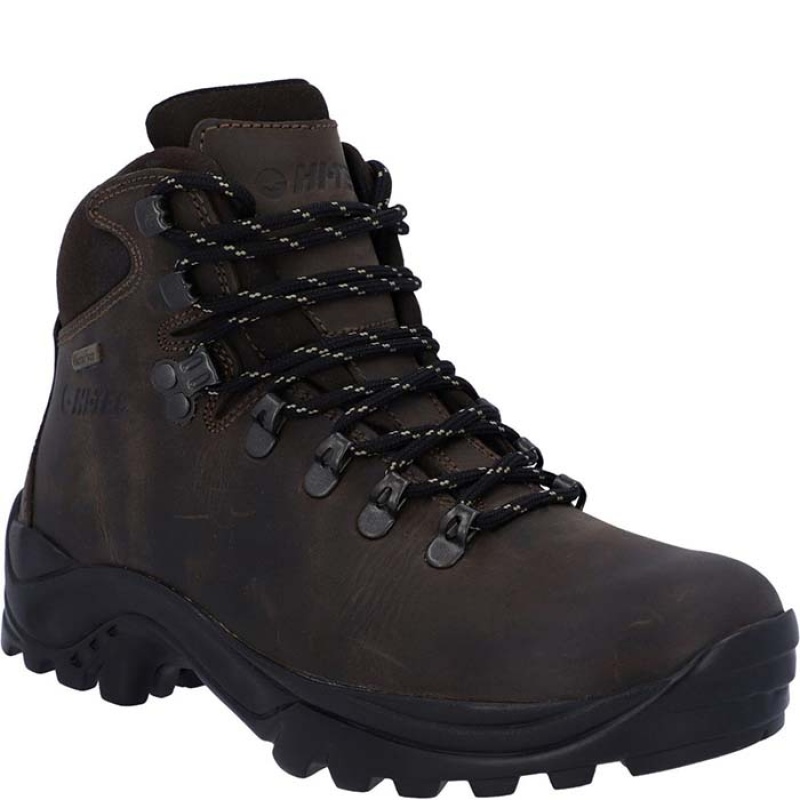 Botas Montaña Hi-Tec Ravine Mujer Marrom | MX30-72