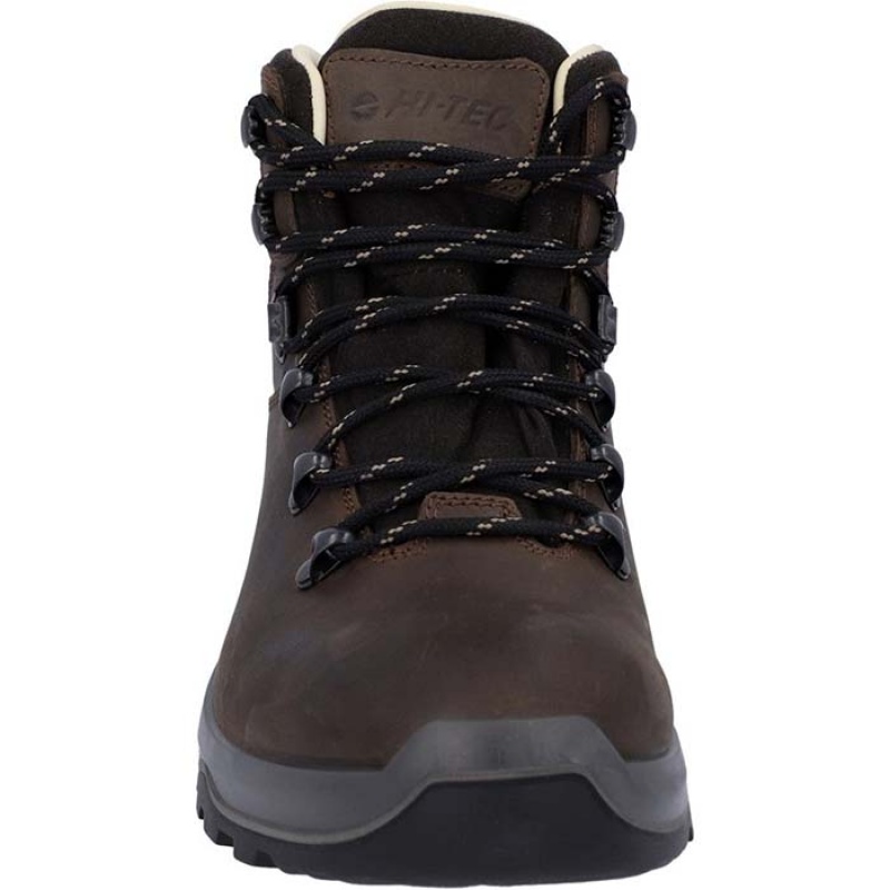 Botas Montaña Hi-Tec Ravine Pro Hombre Marrom | MX70-53