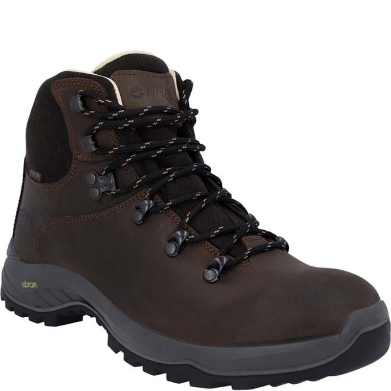 Botas Montaña Hi-Tec Ravine Pro Hombre Marrom | MX70-53