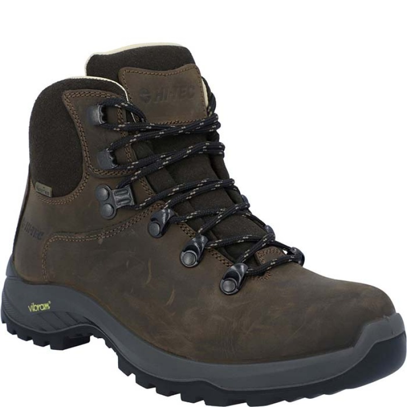 Botas Montaña Hi-Tec Ravine Pro Mujer Marrom | MX97-20