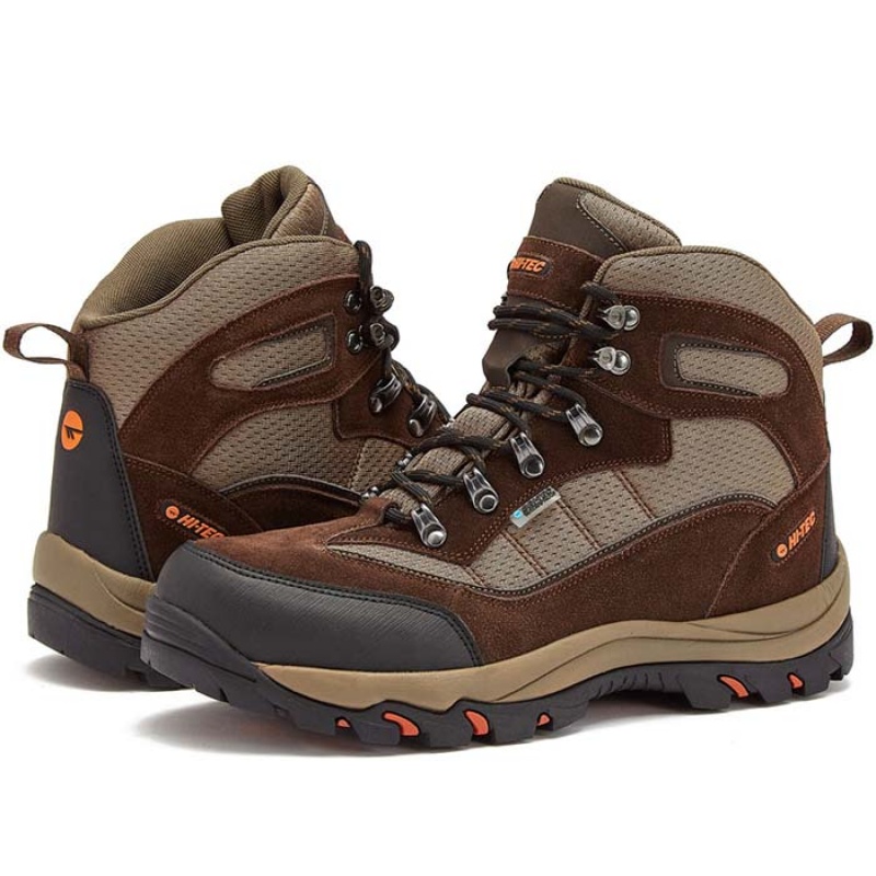 Botas Montaña Hi-Tec Skamania Mid WP Hombre Marrom | MX14-06