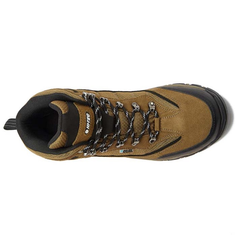 Botas Montaña Hi-Tec Skamania Mid WP Hombre Marrom Verdes | MX98-62