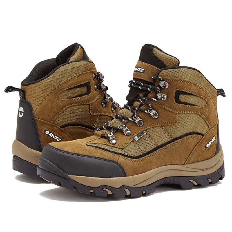 Botas Montaña Hi-Tec Skamania Mid WP Hombre Marrom Verdes | MX98-62