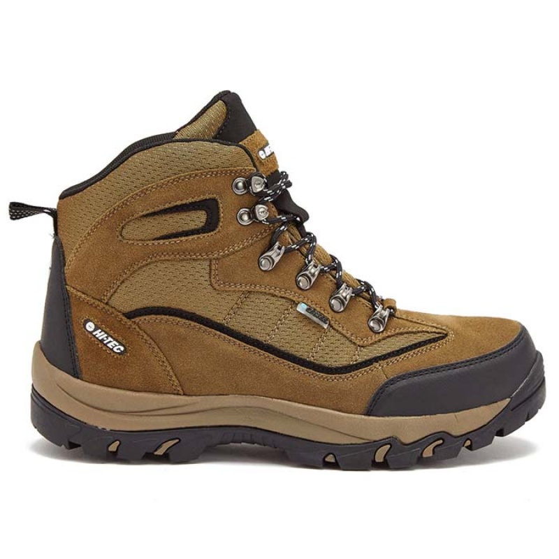 Botas Montaña Hi-Tec Skamania Mid WP Hombre Marrom Verdes | MX98-62