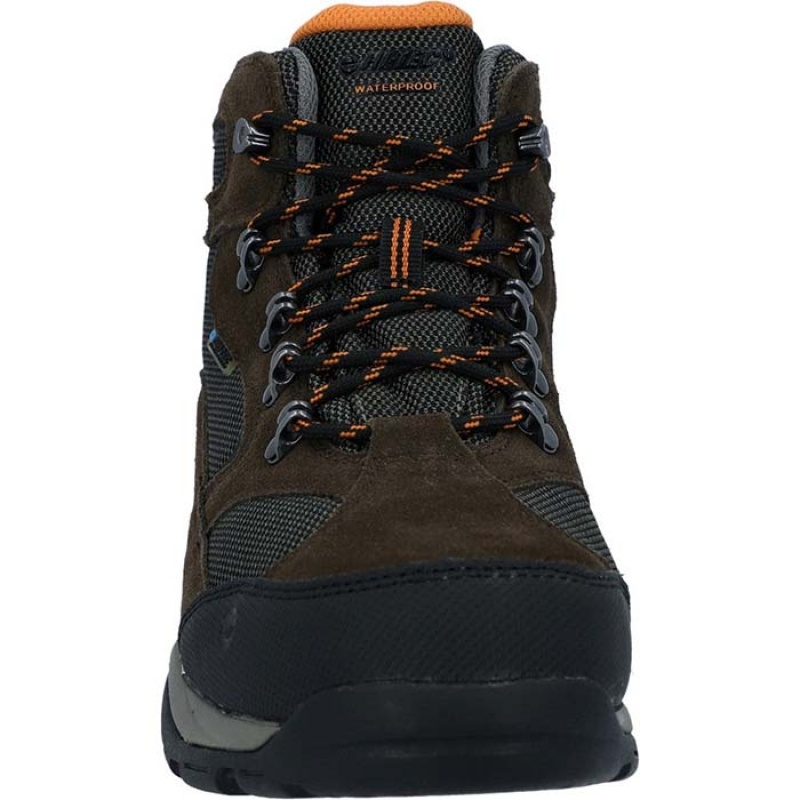 Botas Montaña Hi-Tec Storm Anchos Hombre Marrom Oscuro | MX91-98