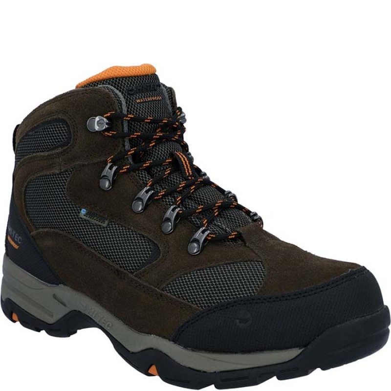 Botas Montaña Hi-Tec Storm Anchos Hombre Marrom Oscuro | MX91-98