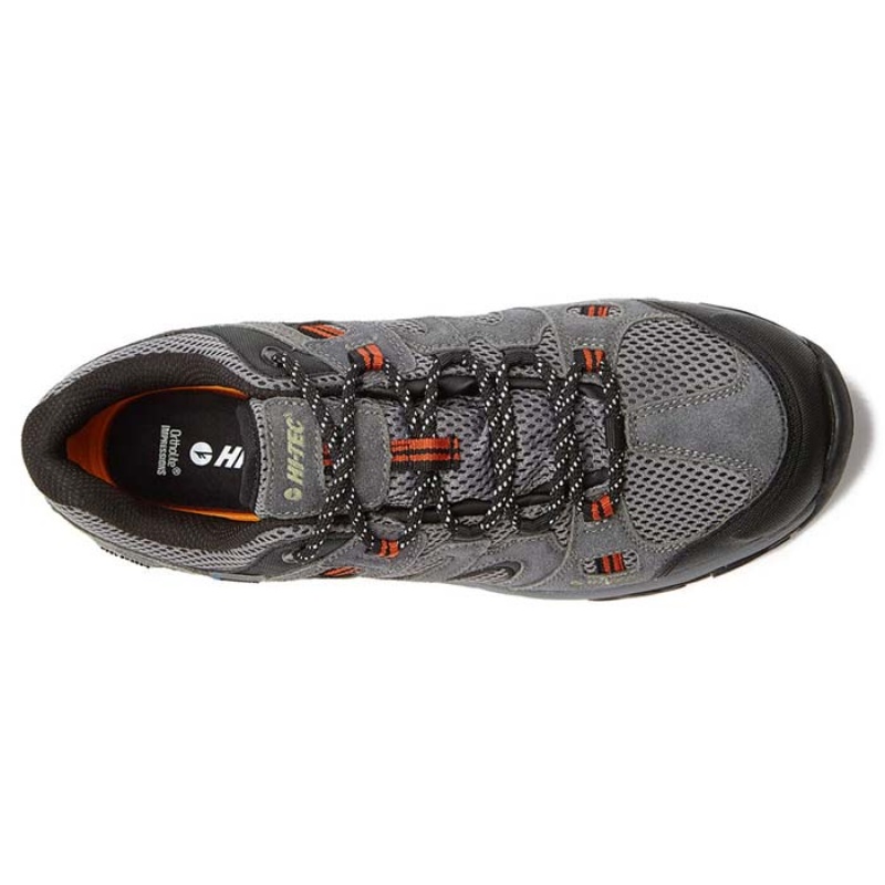 Tenis de Senderismo Hi-Tec Apex Lite Low WP Hombre Tan | MX05-48