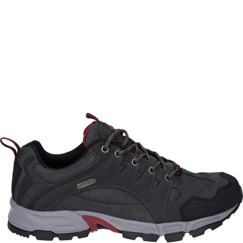 Tenis de Senderismo Hi-Tec Auckland Lite Hombre Grises | MX51-93